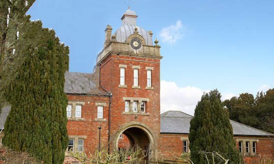 clock tower_highl.jpg
