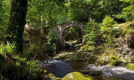 mourne mountains (7).jpg