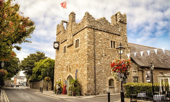 dalkley castle dublin_15-08-2017.jpg