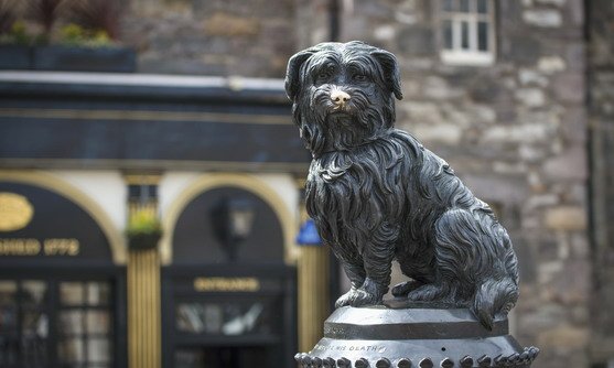 vb34162980_greyfriars bobby, edinburgh_18-08-2019.jpg