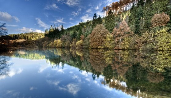 ve20282_autumn colour at staintondale lake, dalby forest in the north york moors national park_22-08-2019.jpg
