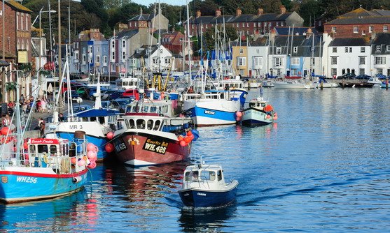 ve13275_boats in weymouth harbour_15-08-2019.jpg