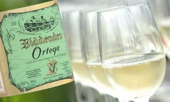 biddenden vineyards ortega & glass.jpg