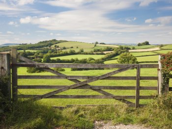 Zuid-Engeland | Devon | Dartmoor