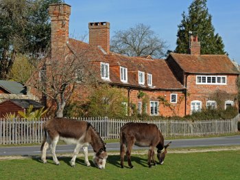 Zuid-Engeland | New Forest | Beaulieu