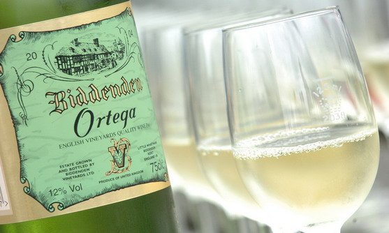 Engeland | Kent | Biddenden vineyard