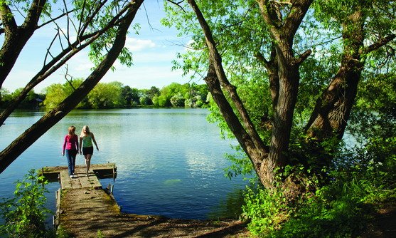 Engeland | Yorkshire | York Lakeside