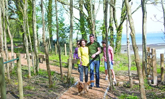 Engeland | Isle of Wight | Woodside Bay Lodge Retreat