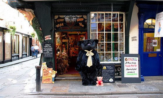 Engeland | York | Stonegate Teddy Bears