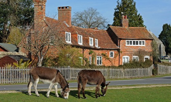 Engeland | New Forest | Beaulieu