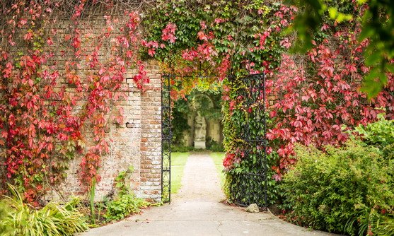 engeland kent champneys at eastwell tuin.jpg