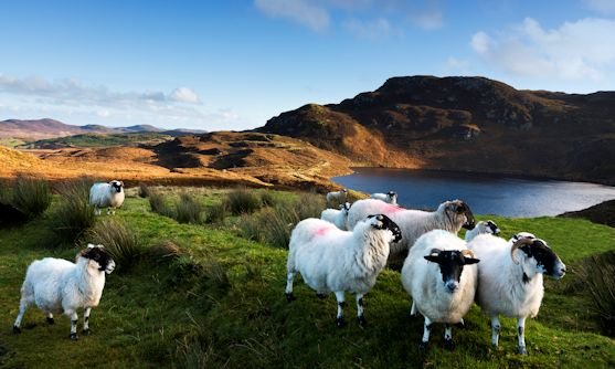 ierland loch salt donegal.jpg