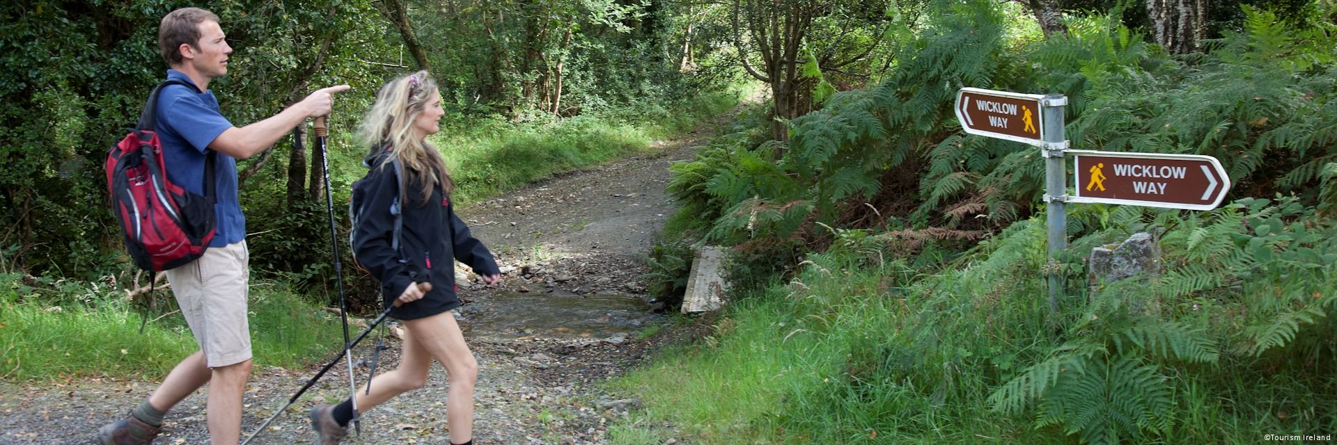 Wandelen langs de Wicklow Way