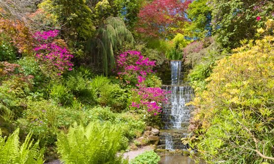 flowers & feasts in cheshire highlight.jpg