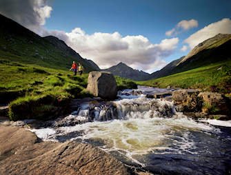 Glenrosa