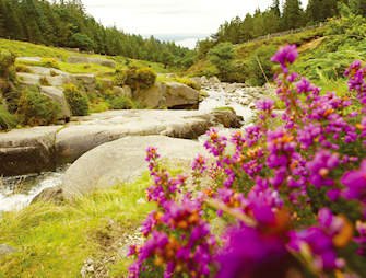 Mourne Mountains