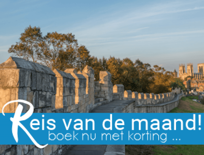 york reis van de maand