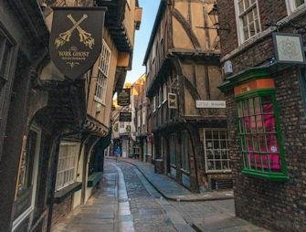 thumb york