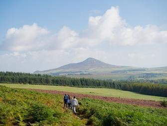 Djouce Mountain, Wicklow Mountains