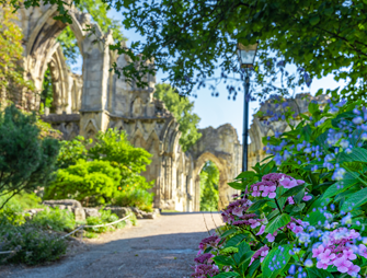 Sfeervol Yorkshire
