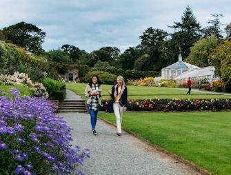 thumb blooming ireland.jpg