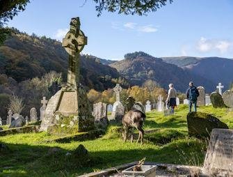 thumb Hidden Gems of Ireland