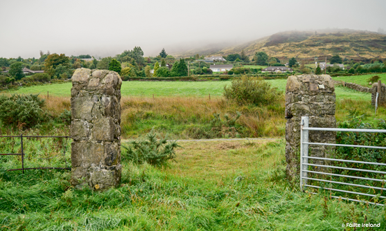 Carlingford Greenway