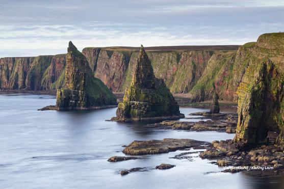 Dunscanby Head