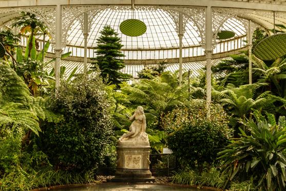 Glasgow botanical garden
