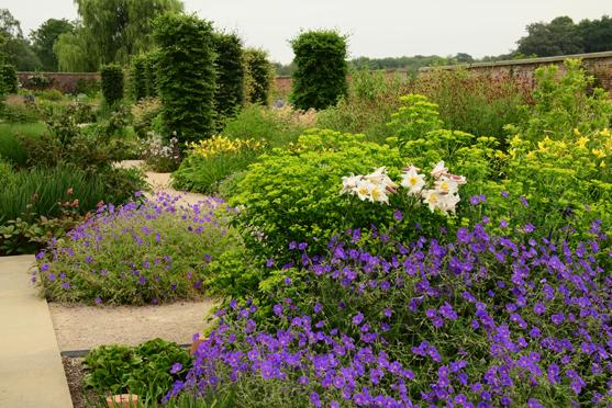 RHS Garden Bridgewater