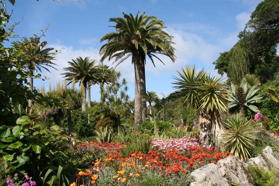 Tresco Gardens
