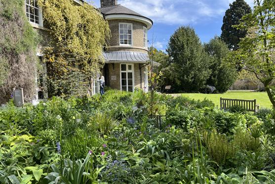 Cambridge Botanical garden