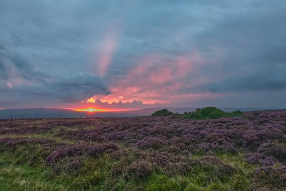 North York Moors