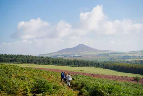 Djouce Mountain, Wicklow Mountains