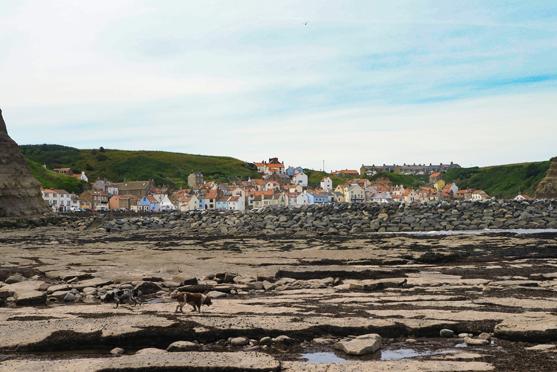 Robin's Hood Bay