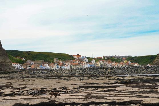 Robin's Hood Bay