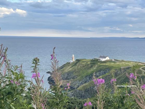 Howth Cliff