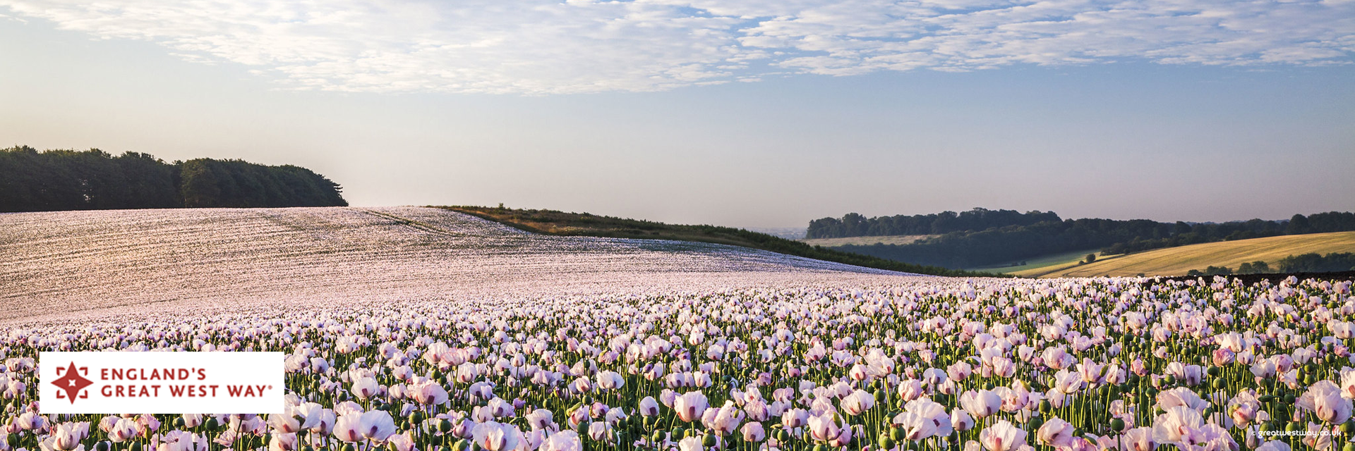 Marlborough Downs