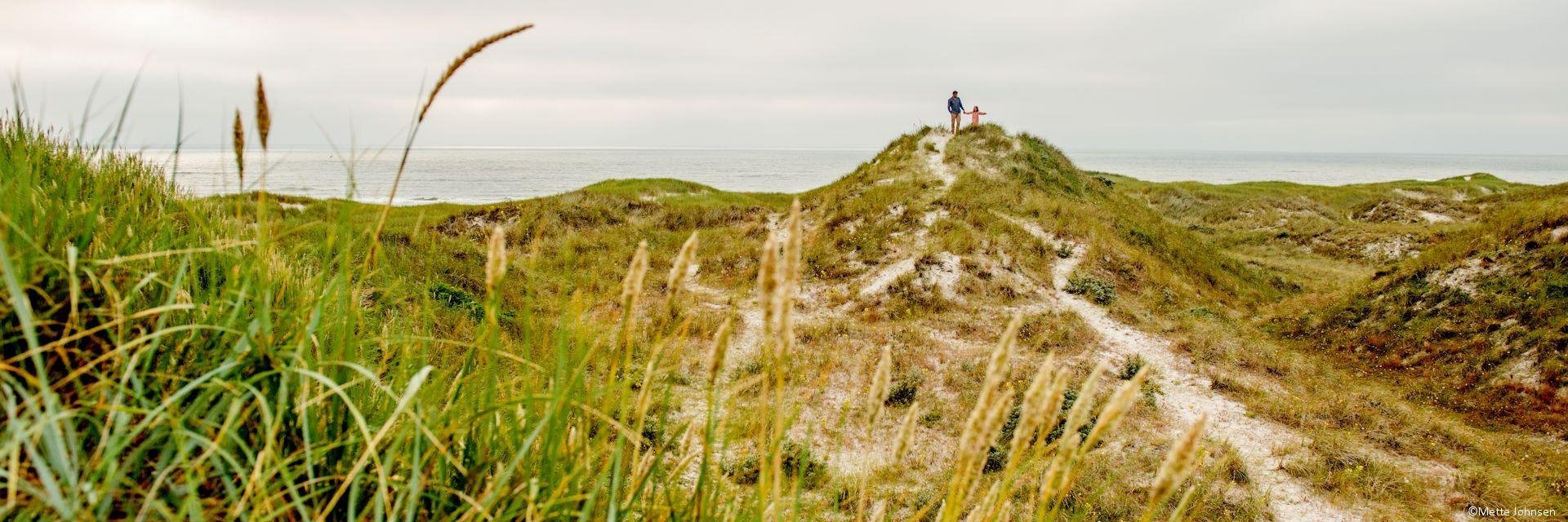 Familiereis Denemarken