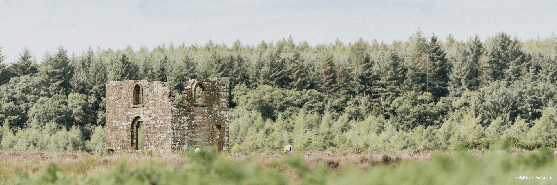 Wandelen door de North York Moors