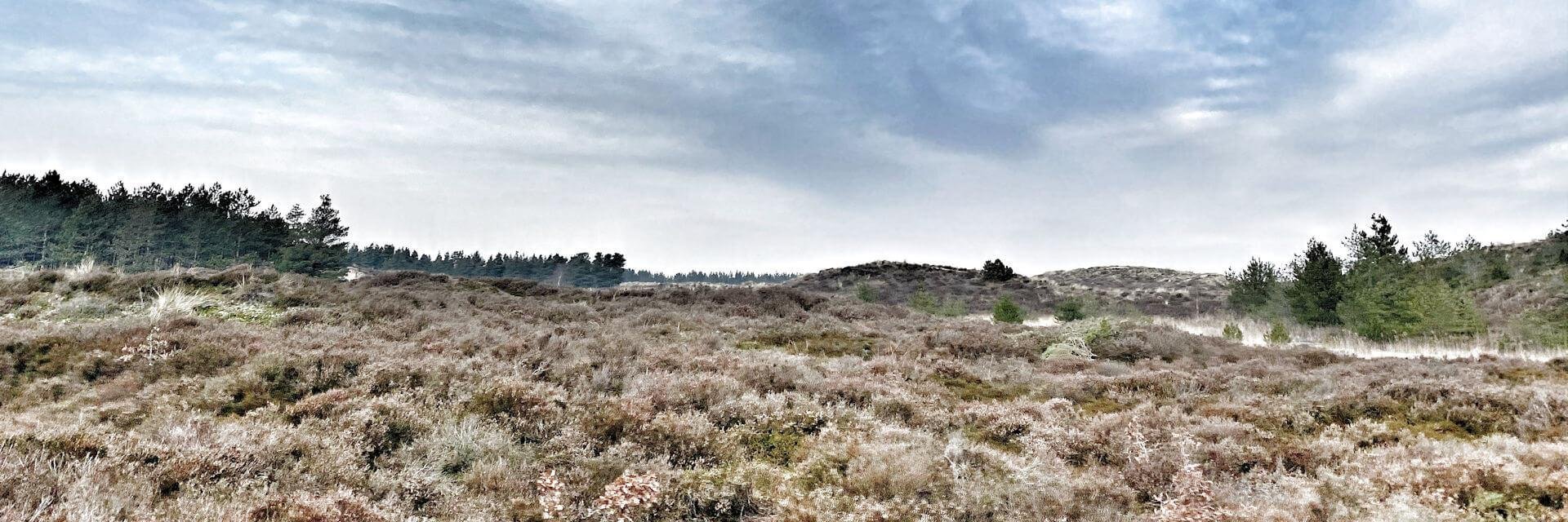 LEGOLAND® en de Deense Waddenzee