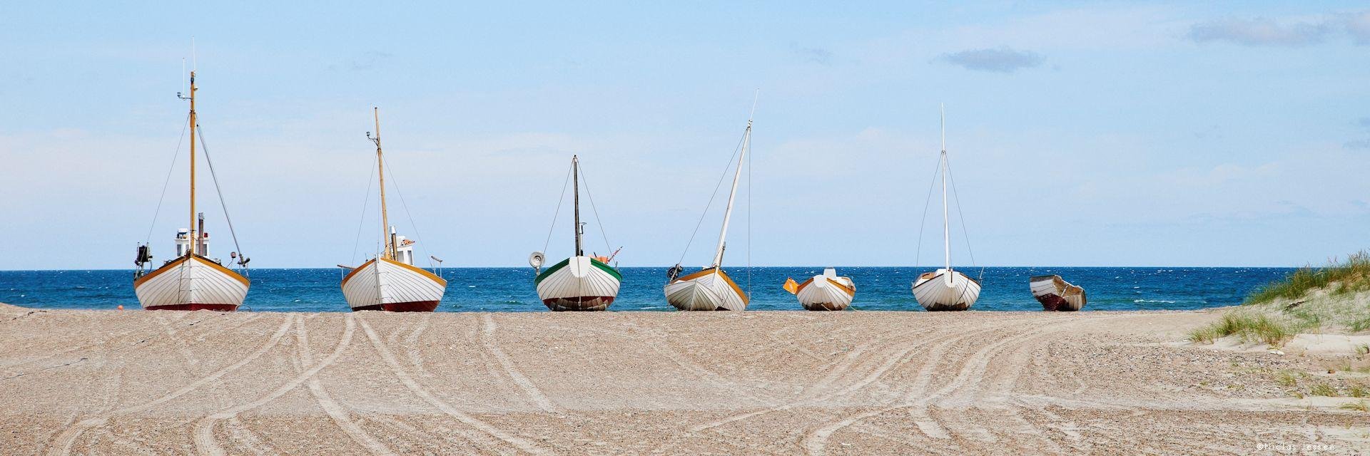 Het beste van Denemarken