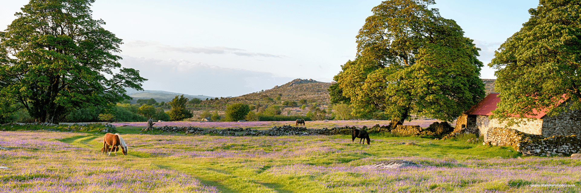 Dartmoor National Park